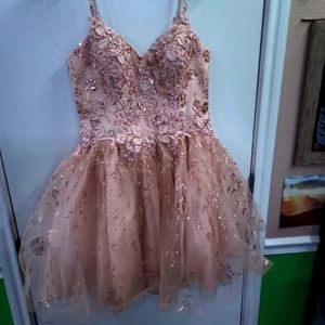 Quince dama dress
